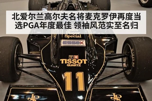 北爱尔兰高尔夫名将麦克罗伊再度当选PGA年度最佳 领袖风范实至名归