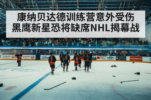 康纳贝达德训练营意外受伤 黑鹰新星恐将缺席NHL揭幕战